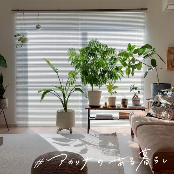 建売住宅だからこそ心地よい空間、心地よい暮らし yupi さん：アカリナfor home リフレクト