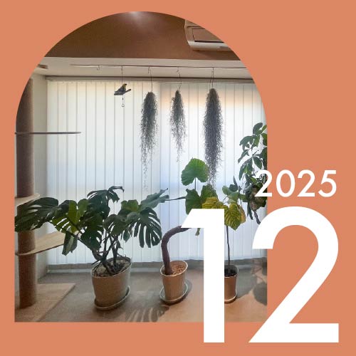 レビュー写真グランプリ：2025年12月