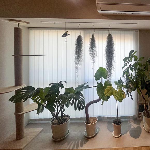 明るさとビジュアルを重視して、再度アカリナ縦型ブラインドを購入