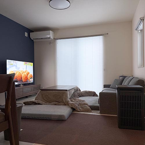 曇りの日でもブラインドだけ発光しているようで明らかに違いました