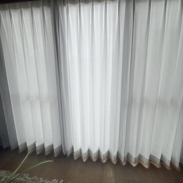 うす曇りでしたが昼間はうっすら光を通す感じです